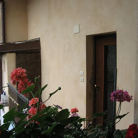 Agnese Old Town